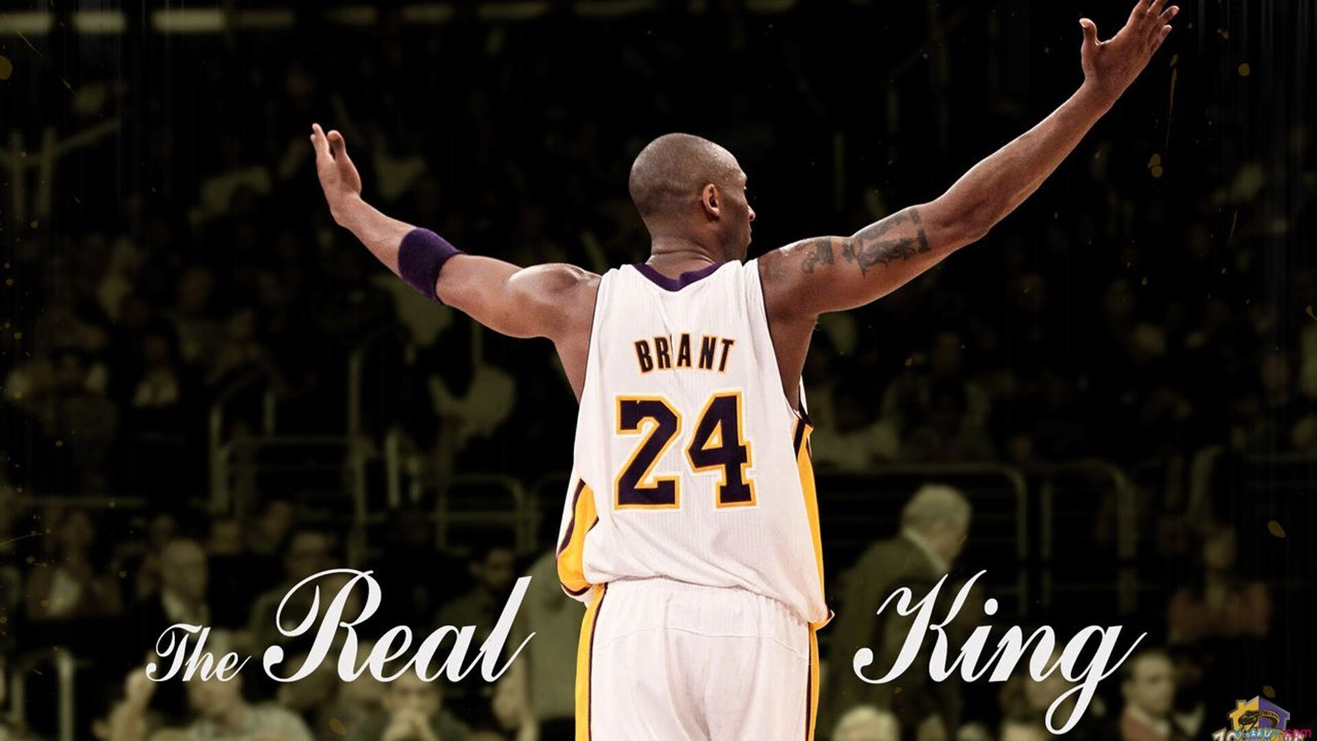 当足球天才降临NBA之夜,加克波的跨界统治与体育精神的永恒对话